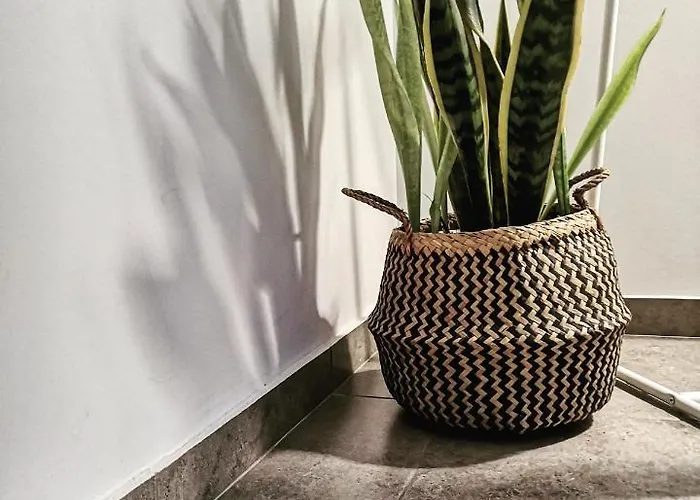 Apartahotel Elements Néa Péramos